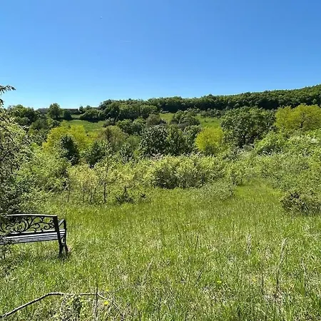 Prázdninový dům La Grande Grange - Domaine De Gargoris I Piscine Et Nature Pont-du-Casse
