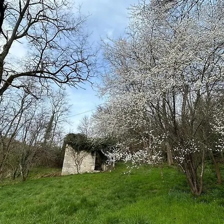 Prázdninový dům La Grande Grange - Domaine De Gargoris I Piscine Et Nature